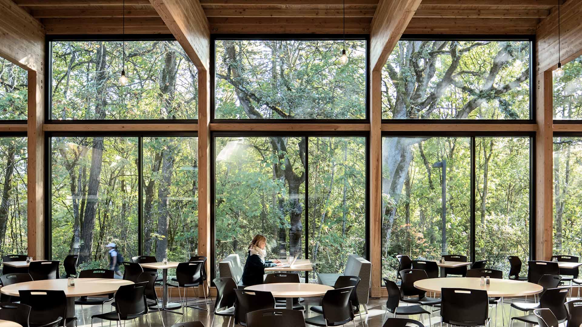 Canyon Commons photo - a large bank of windows in a mass timber building look out at a wooded area. a woman sits at a table in the foreground.